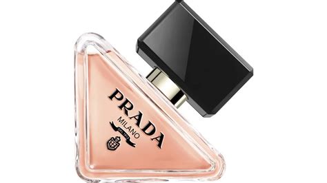 prada paradoxe müller